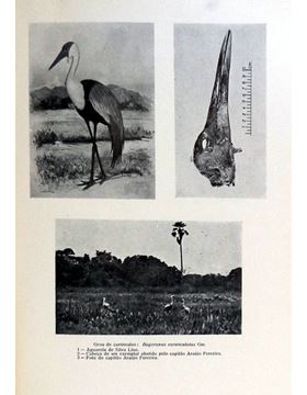 1711pg024_2.jpg