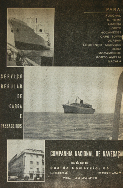 2202js519_2.jpg