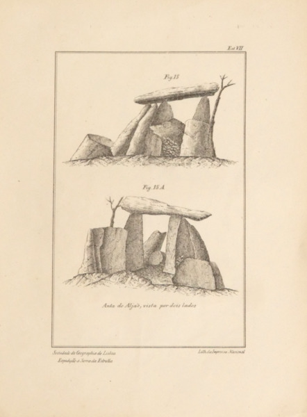 2306pg003_2.jpg