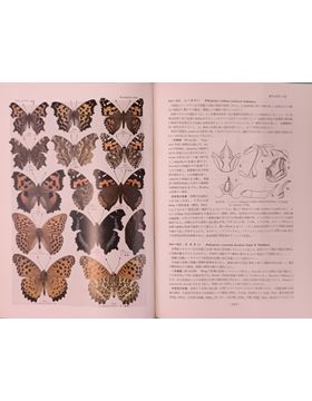 2609es037_3.jpg