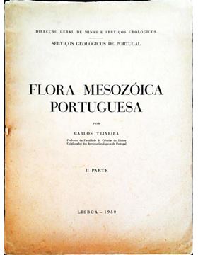 3003nl119_1.jpg