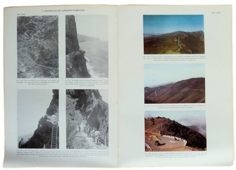 sadacosta-0906JC007_2.png