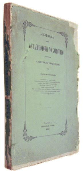 sadacosta-1006jc169_4.jpg