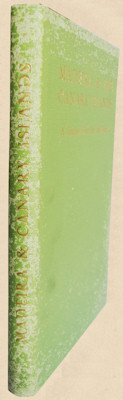 sadacosta-1010jc131_2.jpg