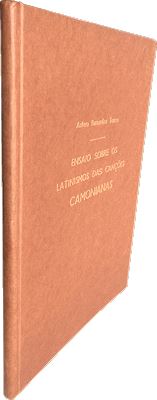 sadacosta-1107jc151_2.jpg
