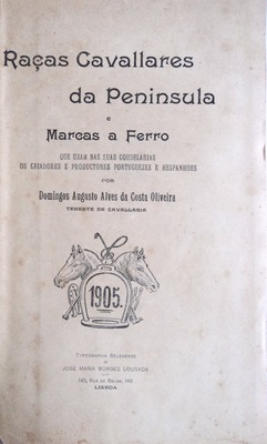 sadacosta-1109jc060_2.jpg