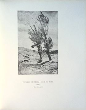 sadacosta-1110jc113_3.jpg
