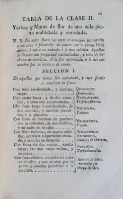 sadacosta-1111jc012_2.jpg