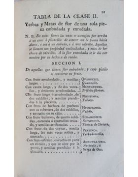 sadacosta-1111jc012_2.jpg