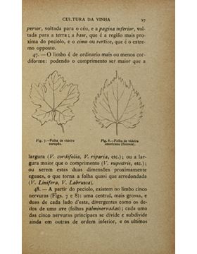 sadacosta-1111jc016_2.jpg
