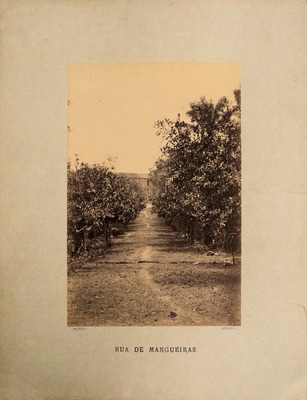 sadacosta-1201jc004_2.jpg