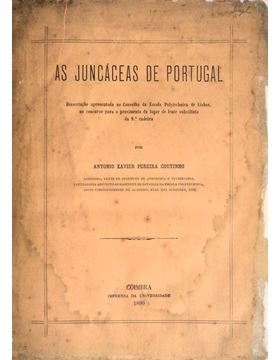 sadacosta-1202jc135_1.jpg
