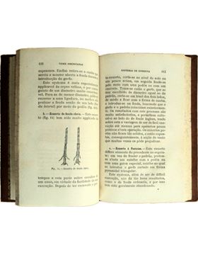 sadacosta-1203cc155_2.jpg