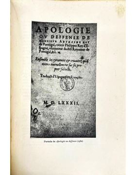 sadacosta-1211jc229_3.jpg