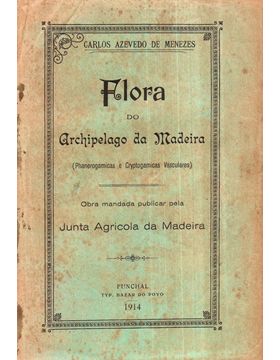 sadacosta-1212jc128_1.jpg