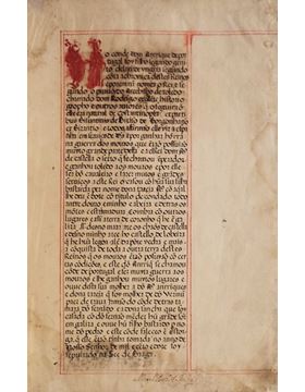 sadacosta-1301cs012_1.jpg