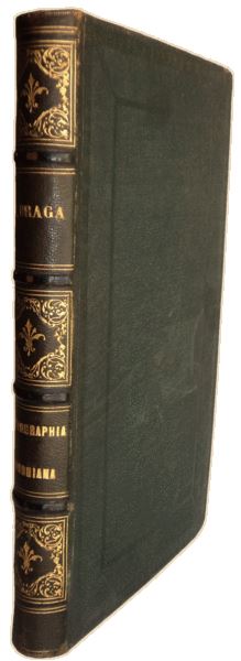 sadacosta-1303jc050_2.jpg