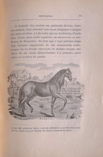 sadacosta-1307cc126_2.jpg