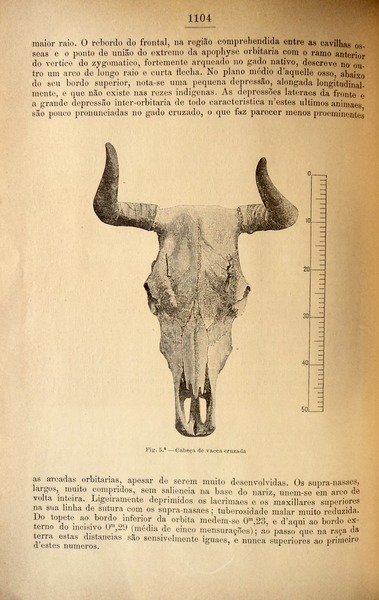 sadacosta-1307jc047_2.jpg