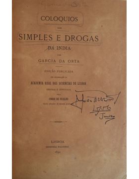 sadacosta-1309cm014_1.jpg
