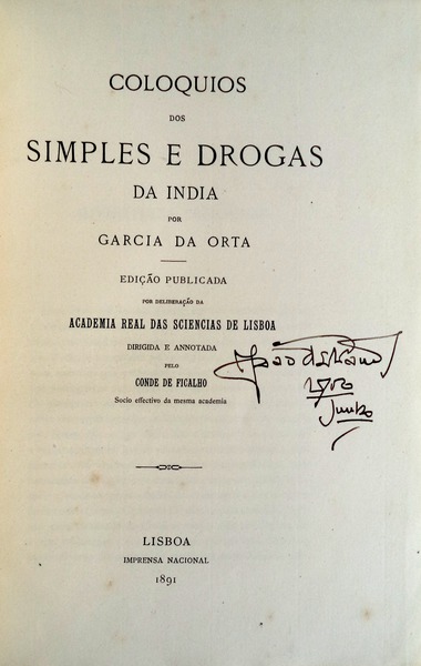 sadacosta-1309cm014_2.jpg