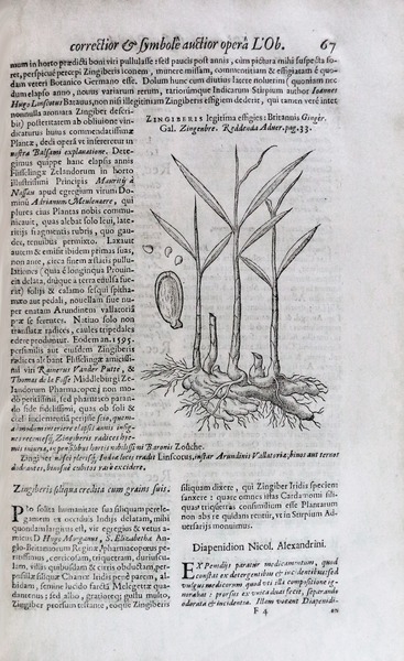 sadacosta-1312cs030_2.jpg