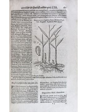 sadacosta-1312cs030_2.jpg
