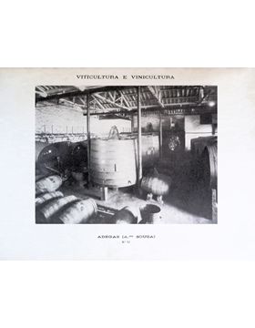 sadacosta-1403jc024_3.jpg