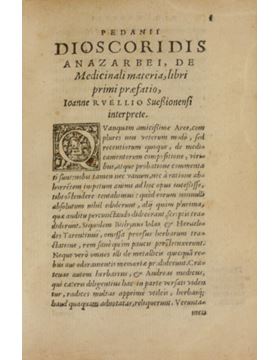 sadacosta-1502JC023_2.jpg