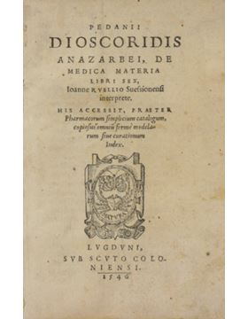 sadacosta-1502jc023_1.jpg