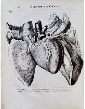sadacosta-1507jc029_2.jpg