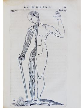 sadacosta-1507jc029_3.jpg