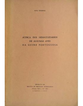 sadacosta-1511ia008_1.jpg