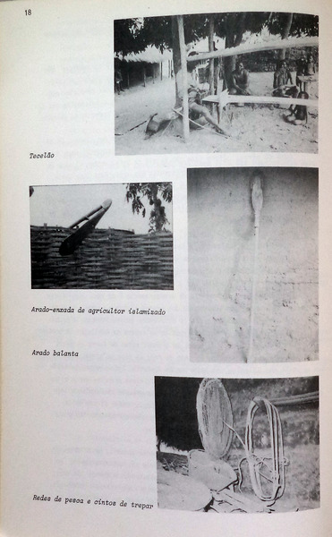 sadacosta-1511ia011_2.jpg