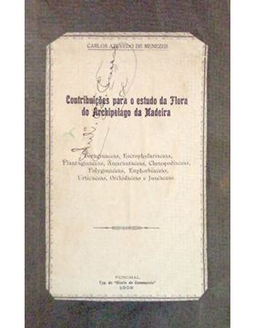 sadacosta-1511ia062_1.jpg