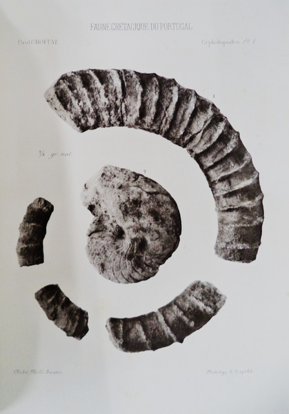 sadacosta-1512ia016_2.jpg