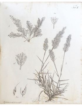 sadacosta-1512jc003_3.jpg