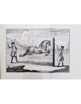 sadacosta-1603pg019_2.jpg