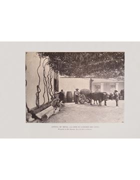 sadacosta-1603pg054_3.jpg