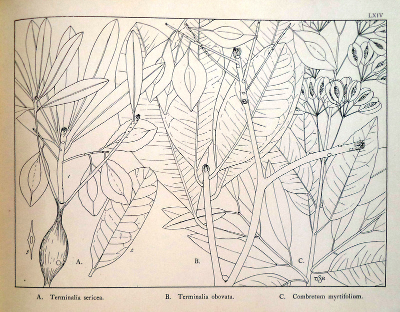 sadacosta-1605pg032_2.jpg