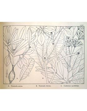 sadacosta-1605pg032_2.jpg