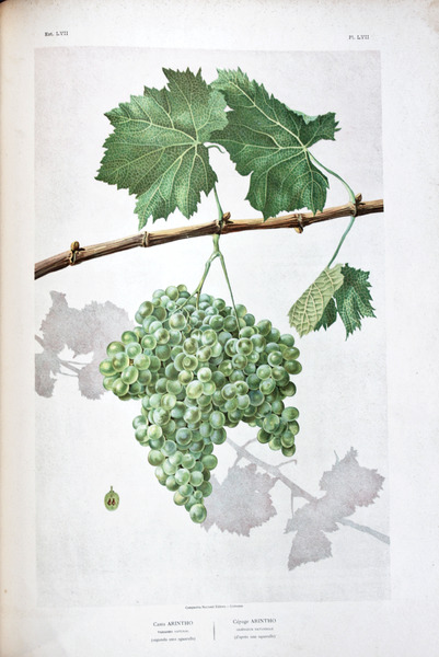 sadacosta-1606jc004_2.jpg
