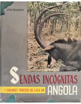 sadacosta-1606jr020_1.jpg