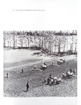sadacosta-1606pg020_3.jpg