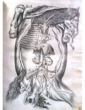 sadacosta-1606pg038_2.jpg