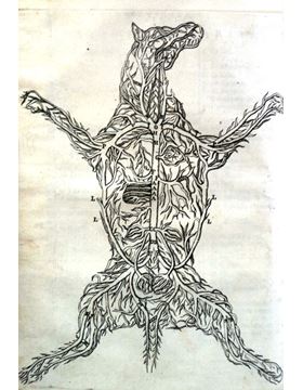 sadacosta-1606pg038_3.jpg