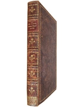 sadacosta-1608jc001_4.jpg