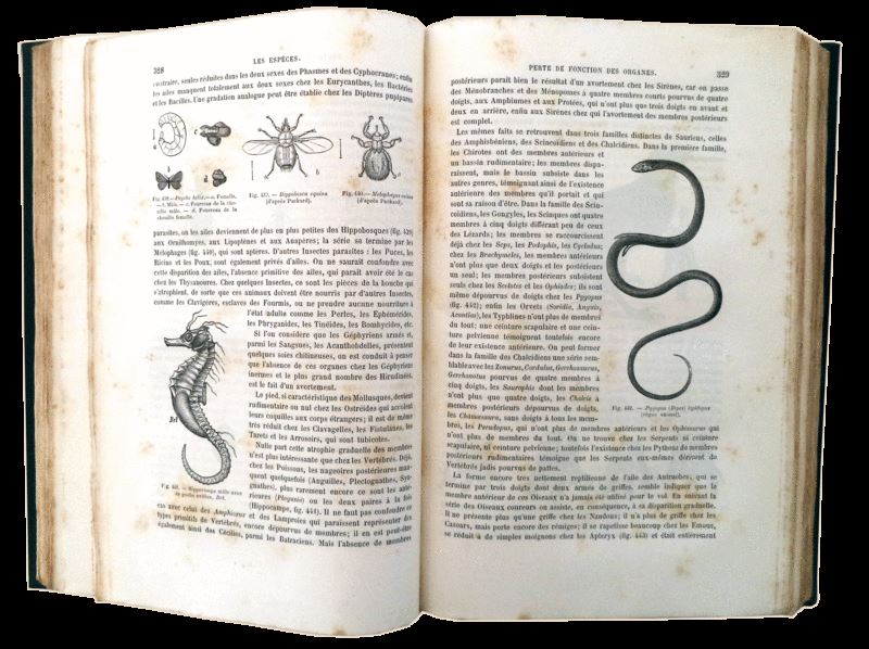 sadacosta-1608pg007_3.jpg