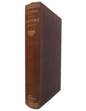 sadacosta-1608pg008_4.jpg