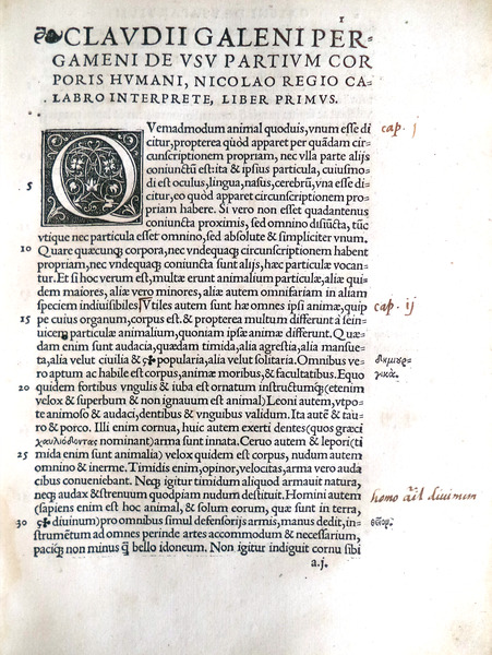 sadacosta-1609pg029_2.jpg